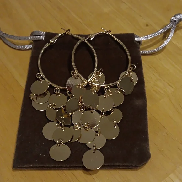 Hoop Earrings with Dust Bag NWT - Picture 3 of 3